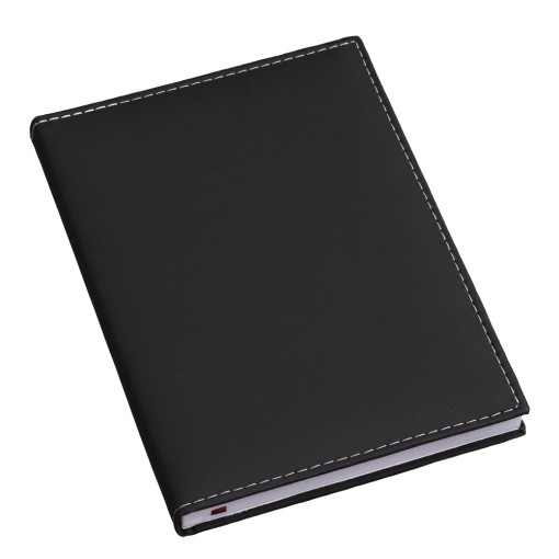 Agenda diária 2025 Personalizada com Logo
